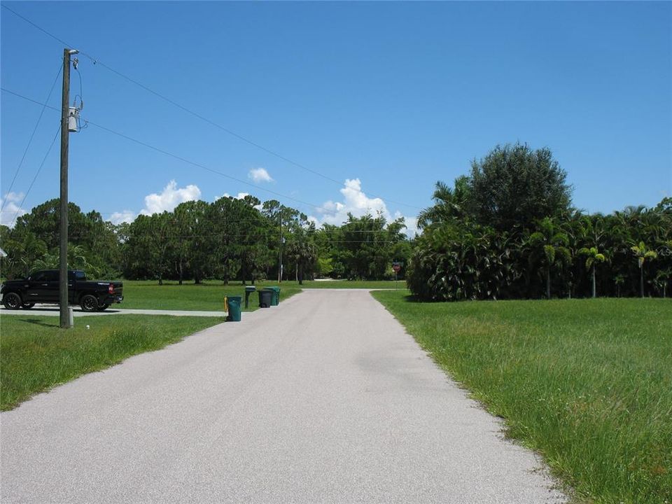 Looking North from parcel on Coruna Ct.