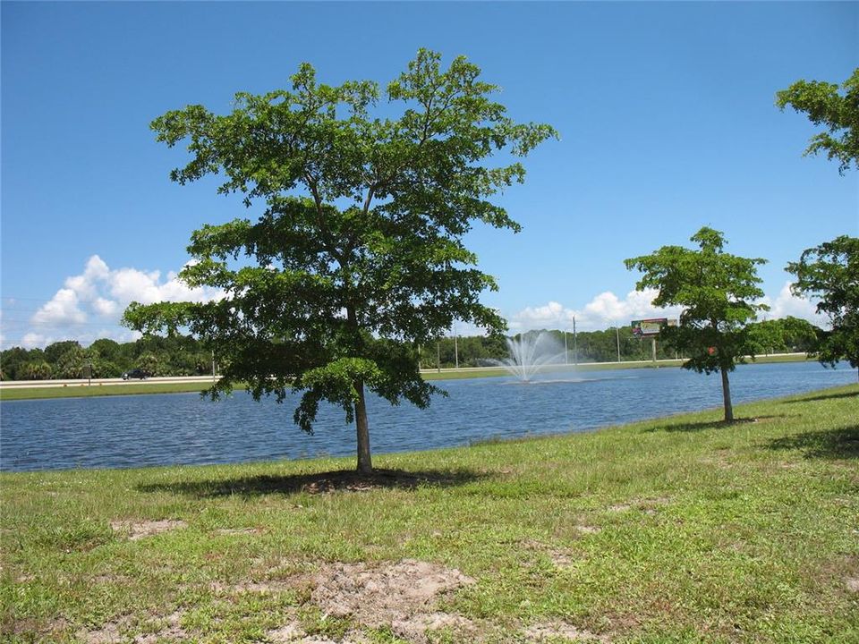 view of pond from walking trail