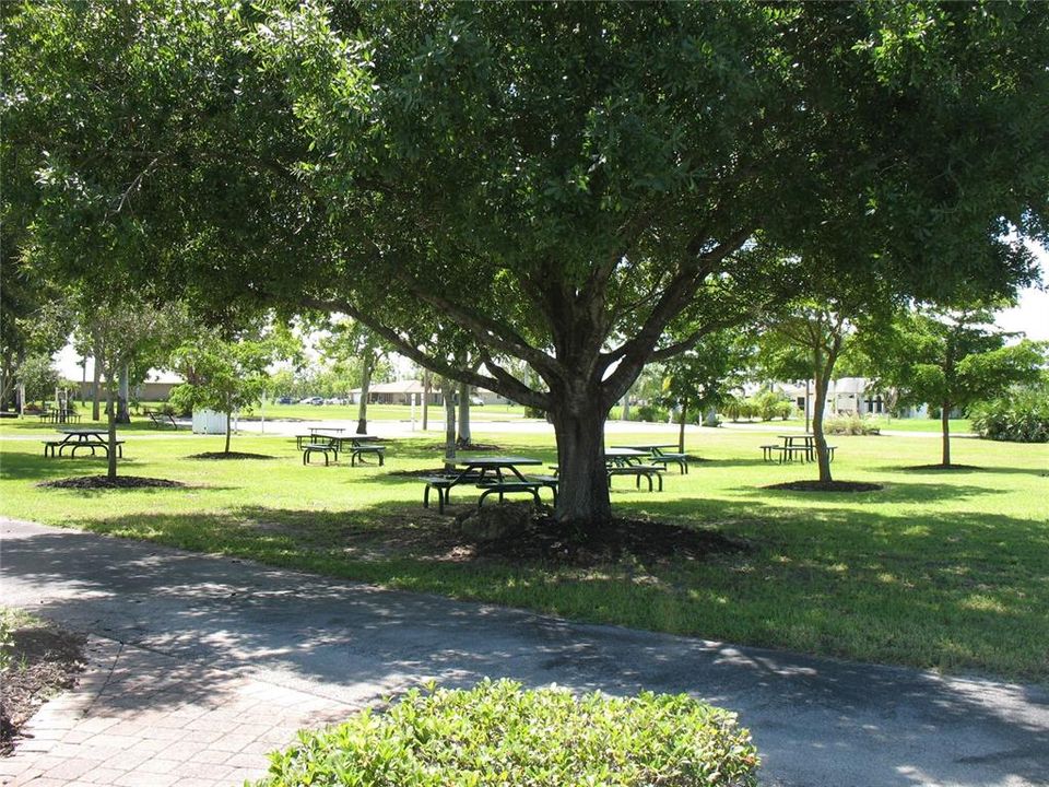 Shaded picnic grounds
