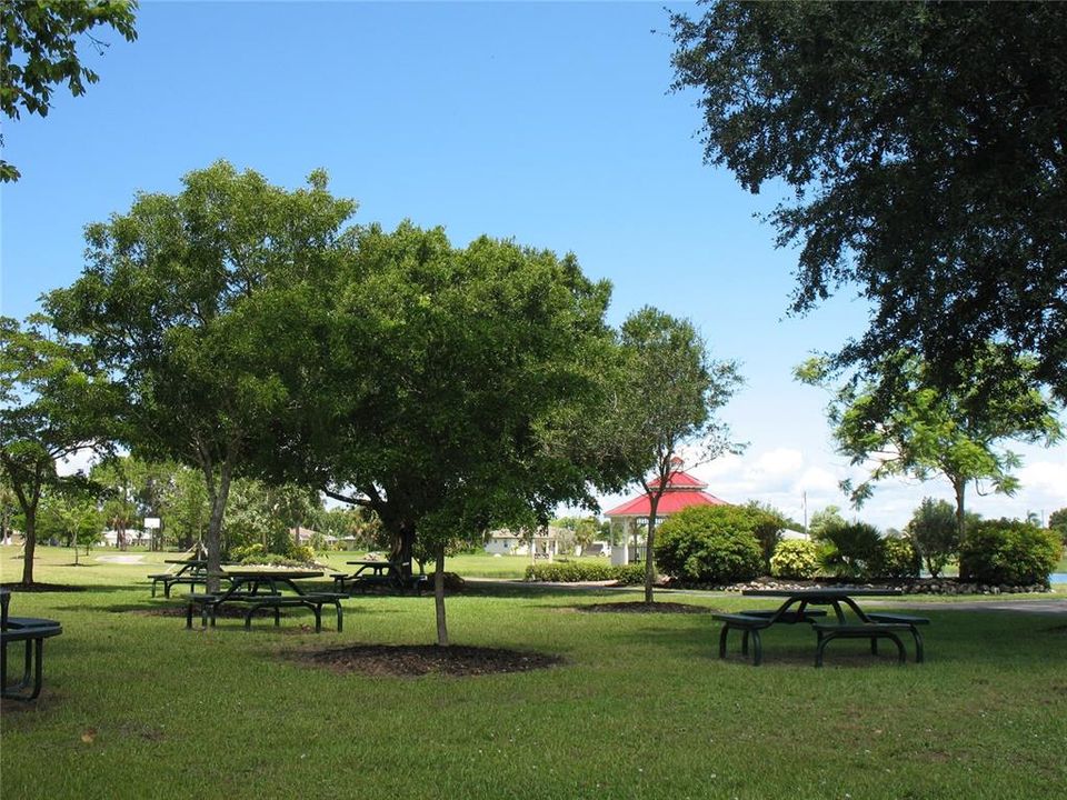 picnic grounds