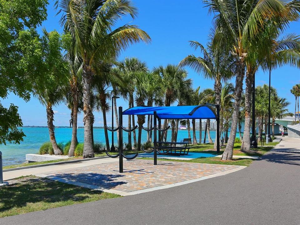 Bird Key community park is a favorite spot for walking Fido, fishing and launching paddle boards.