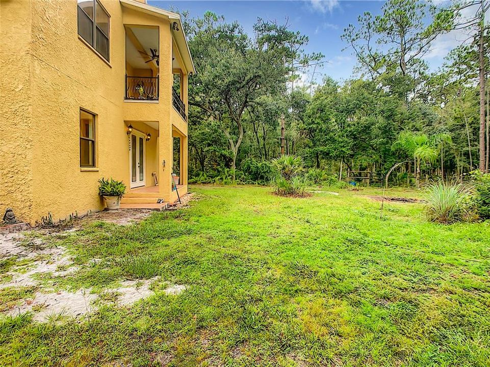 Huge back yard with room for micro farming