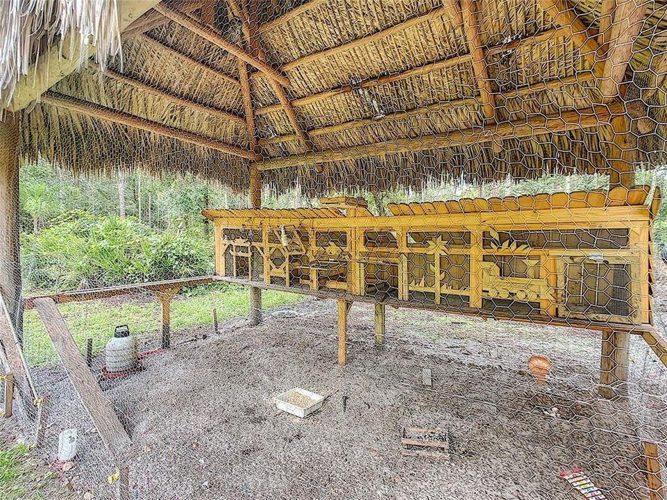 Chicken coop up close!