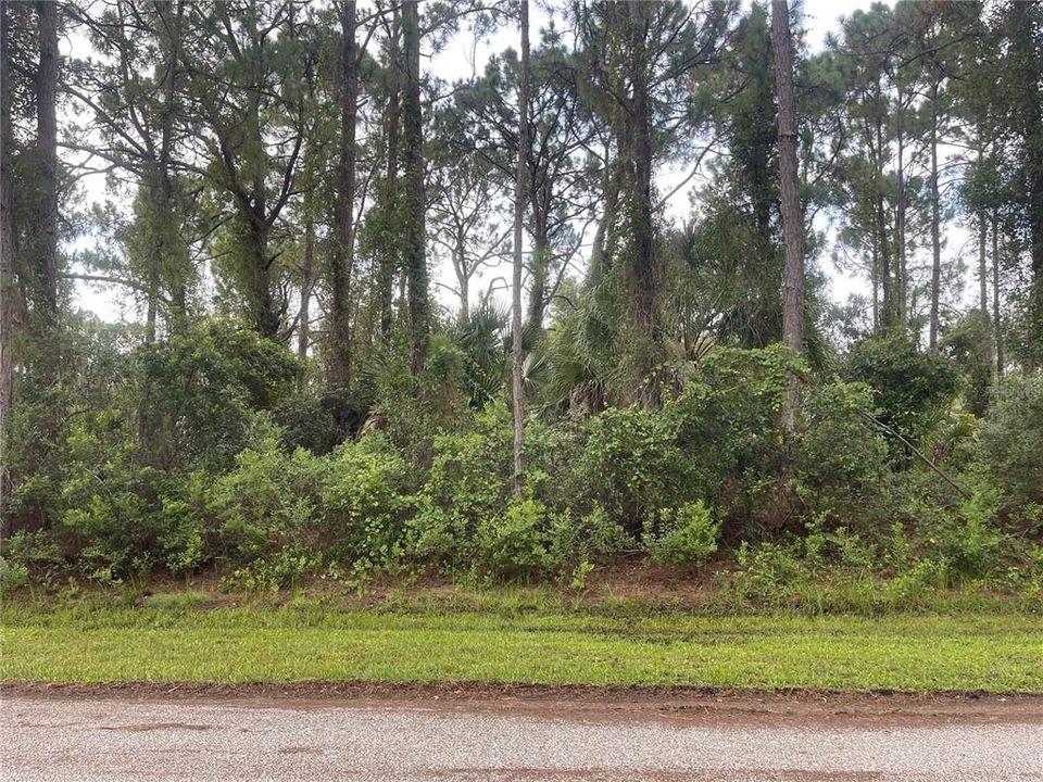 Activo con contrato: $17,900 (0.24 acres)