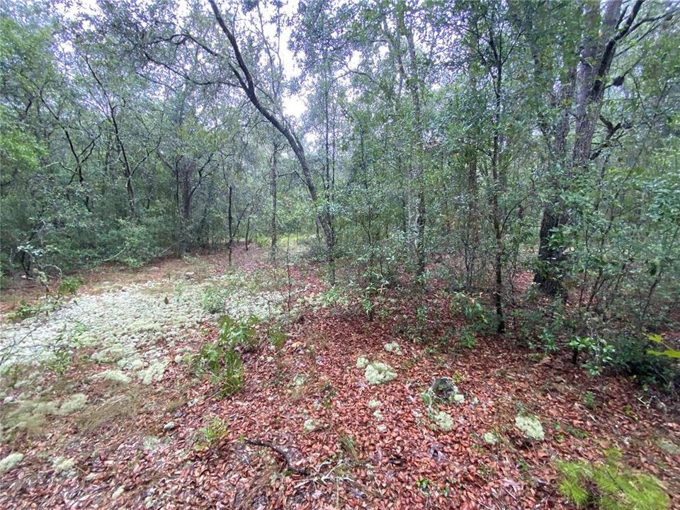 Recently Sold: $47,500 (2.35 acres)