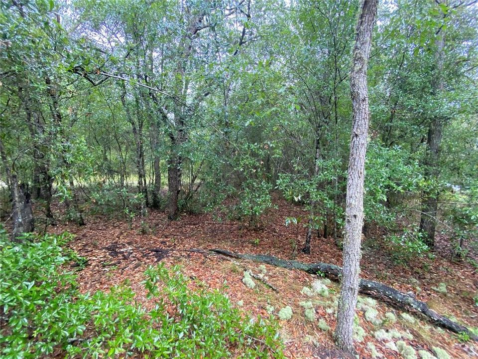 Recently Sold: $47,500 (2.35 acres)