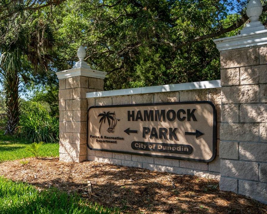 Hammock Park