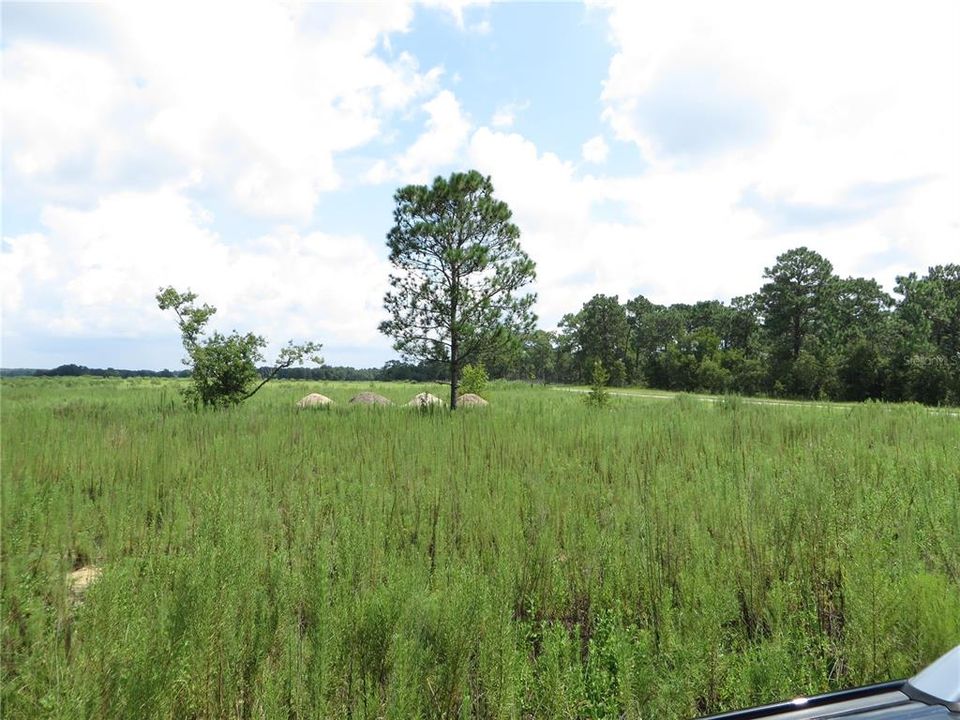 Recently Sold: $179,000 (2.31 acres)