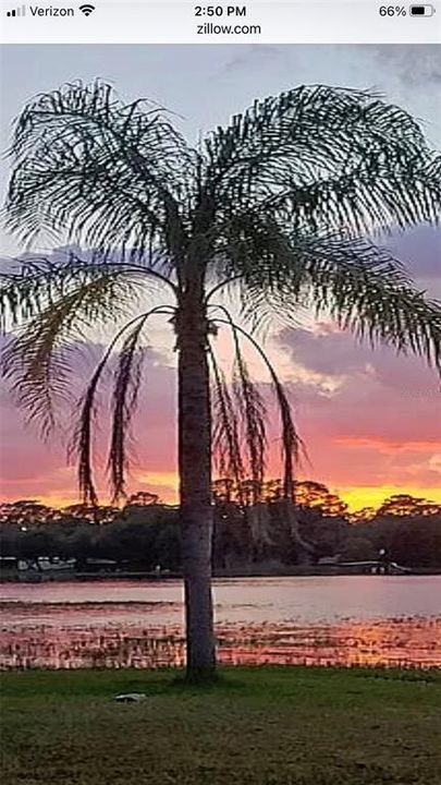 The perfect Florida sunset view