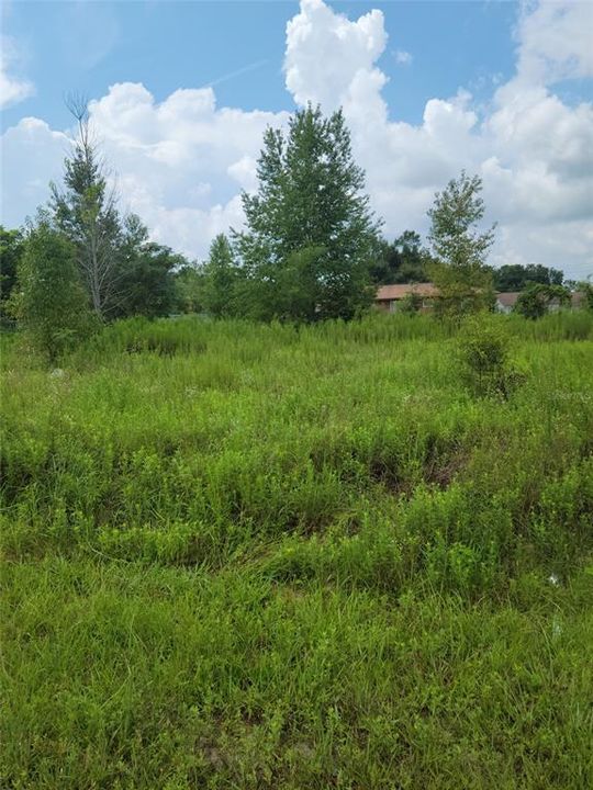 Recently Sold: $18,500 (0.21 acres)