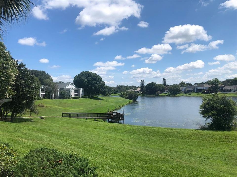 Lake behind Building