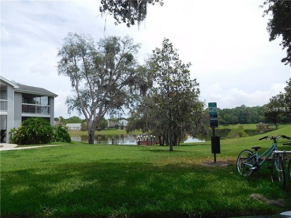 Lake/green space behind building