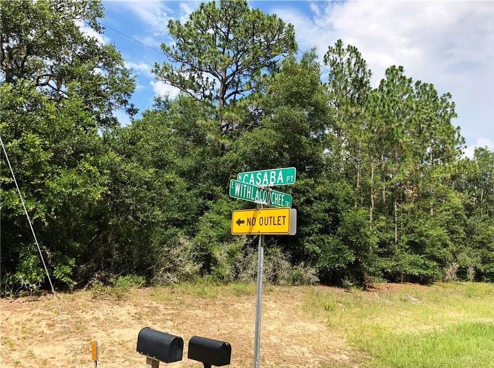 Recently Sold: $49,000 (3.87 acres)