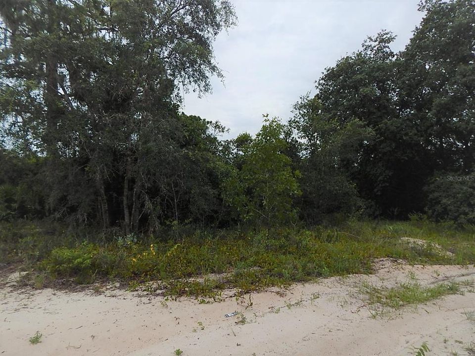 Recently Sold: $19,500 (0.50 acres)