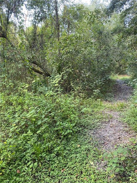 Trail on Property