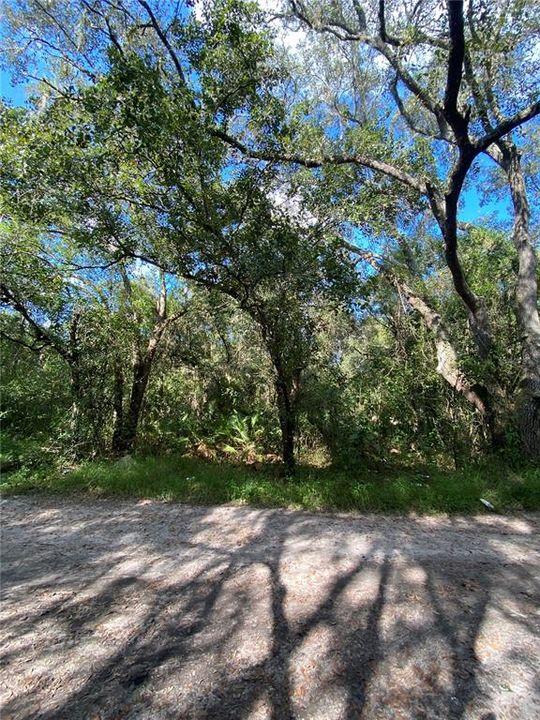 Recently Sold: $30,975 (2.00 acres)