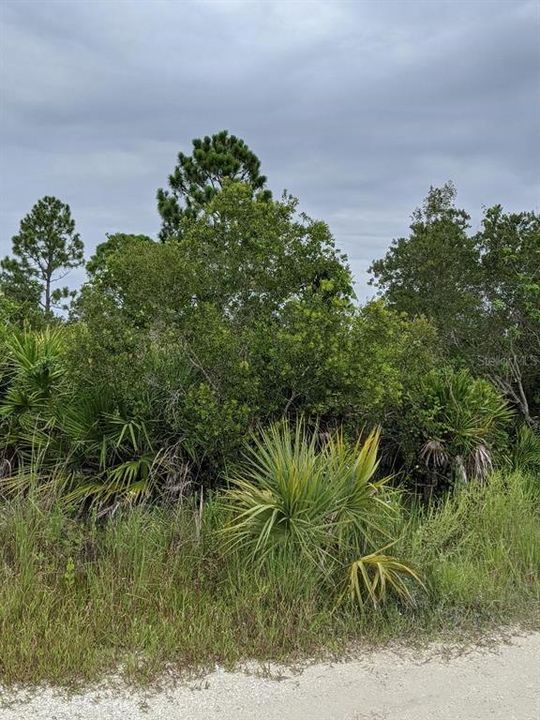 最近售出: $30,000 (1.25 acres)