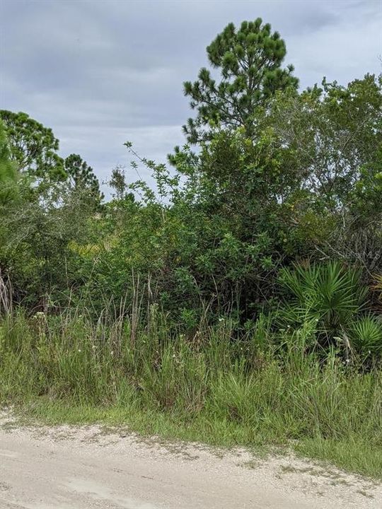 Vendido Recientemente: $30,000 (1.25 acres)