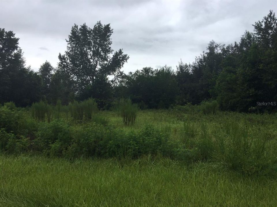 Recently Sold: $50,000 (1.02 acres)