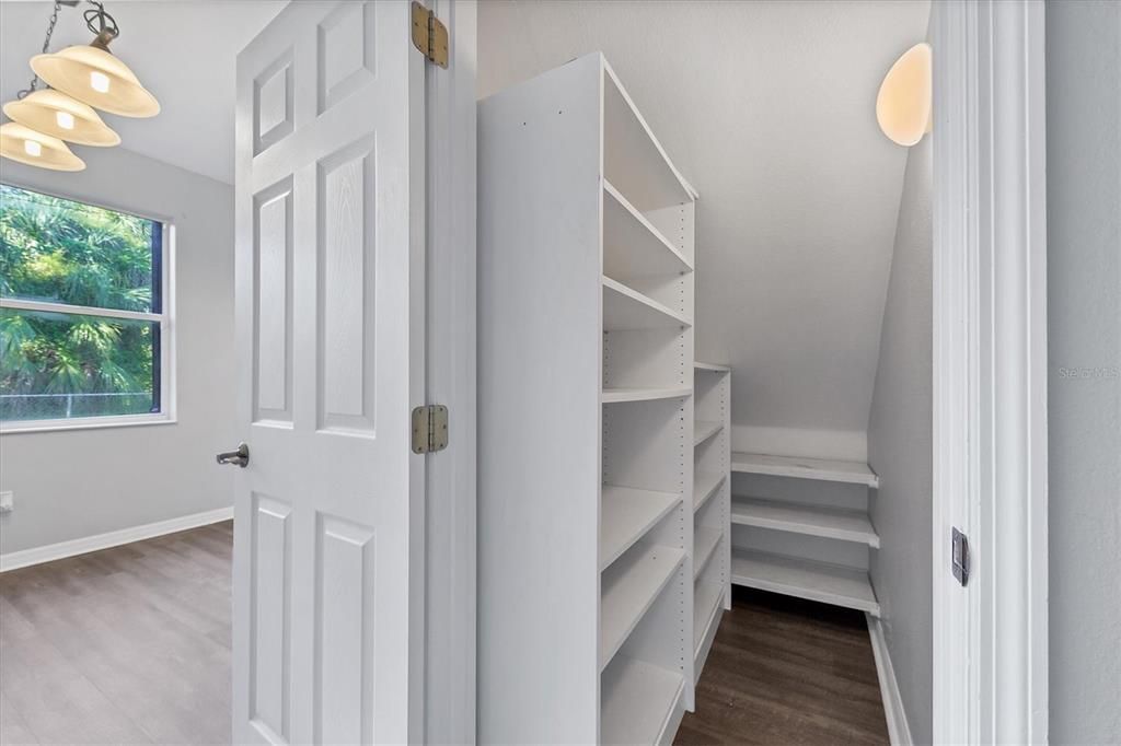 walk in closet pantry between living room and kitchen