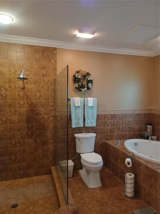 Large walk-in Shower & Jetted Tub