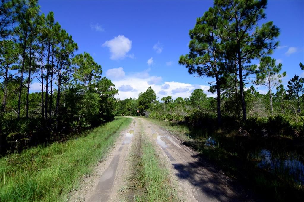 Active With Contract: $14,000 (0.17 acres)