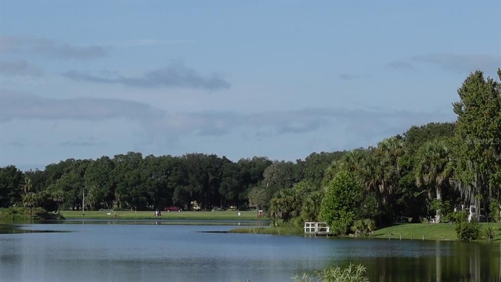 Beautiful Water View