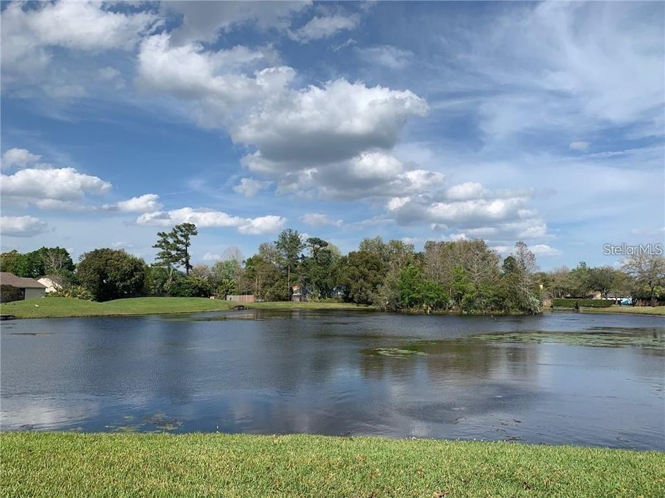 COMMUNITY POND (within walking distance)