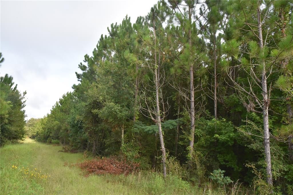 Recently Sold: $244,500 (40.00 acres)