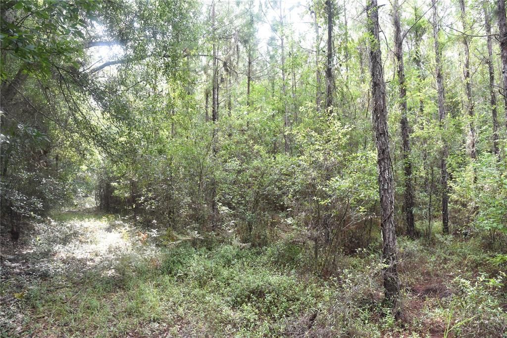 Recently Sold: $244,500 (40.00 acres)