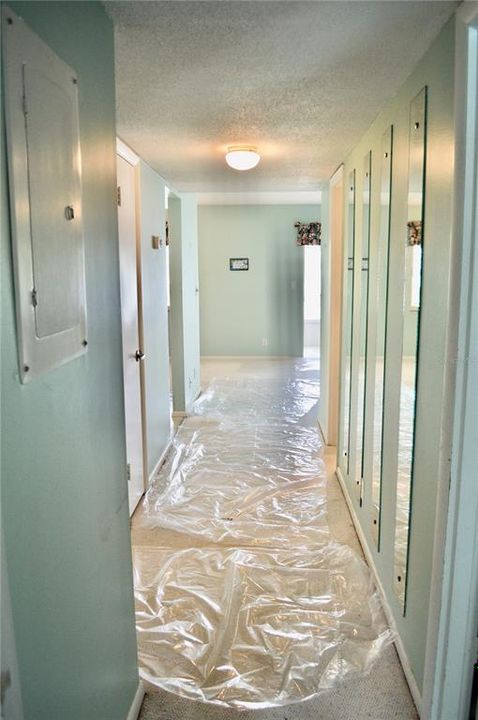 Hallway to kitchen