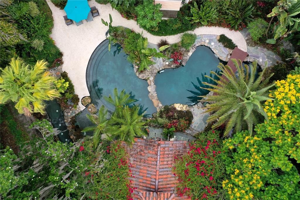 Aerial view of the pool