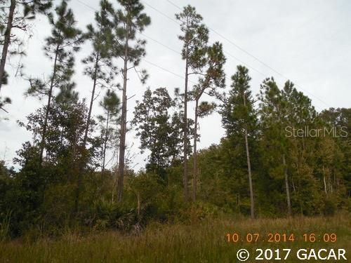 Vendido Recientemente: $49,900 (15.56 acres)