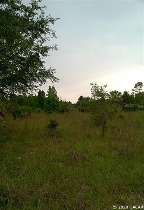 Recently Sold: $12,000 (1.39 acres)