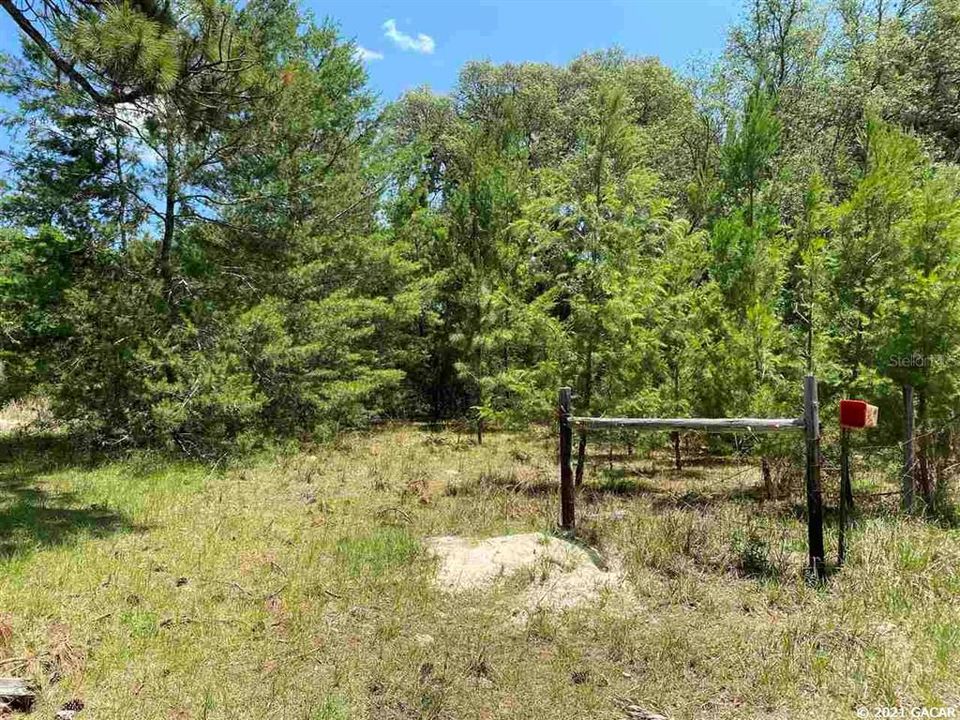 Vendido Recientemente: $39,900 (3.16 acres)