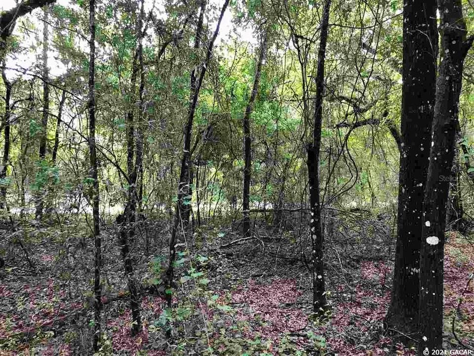 Vendido Recientemente: $64,000 (8.02 acres)