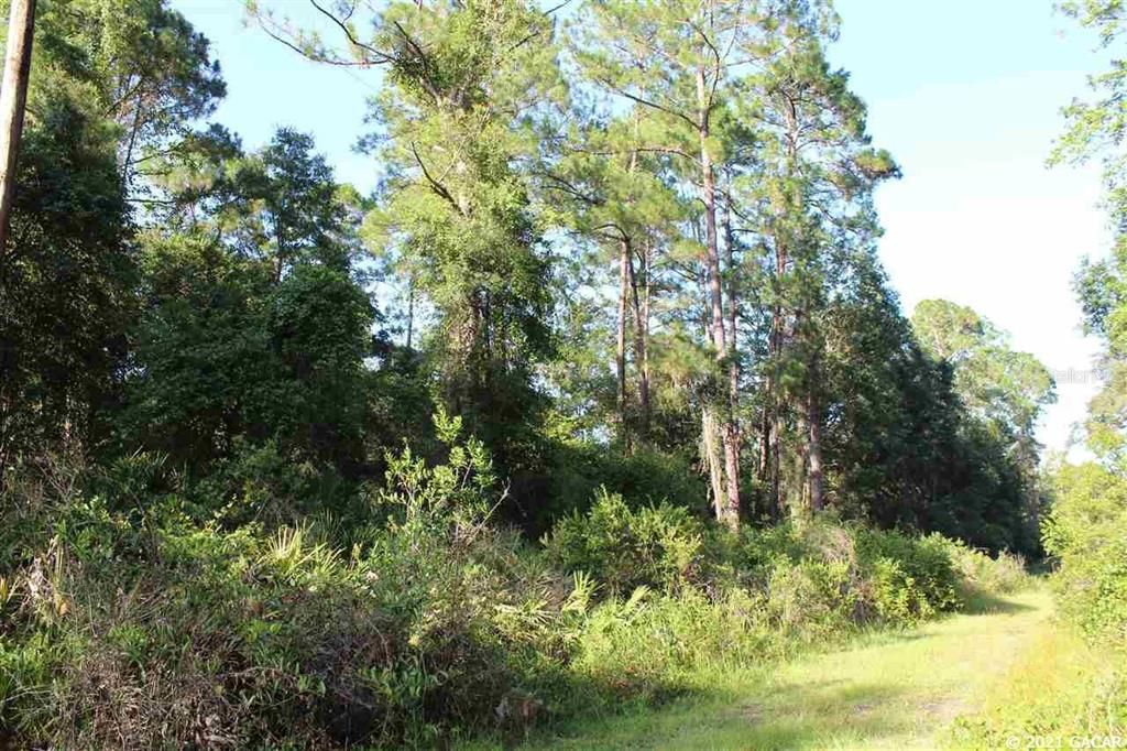 Recently Sold: $5,000 (0.28 acres)