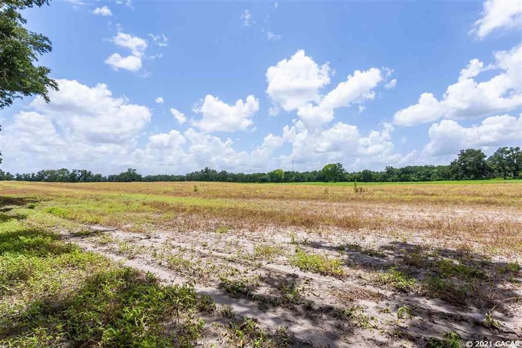Recently Sold: $1,440,000 (80.00 acres)
