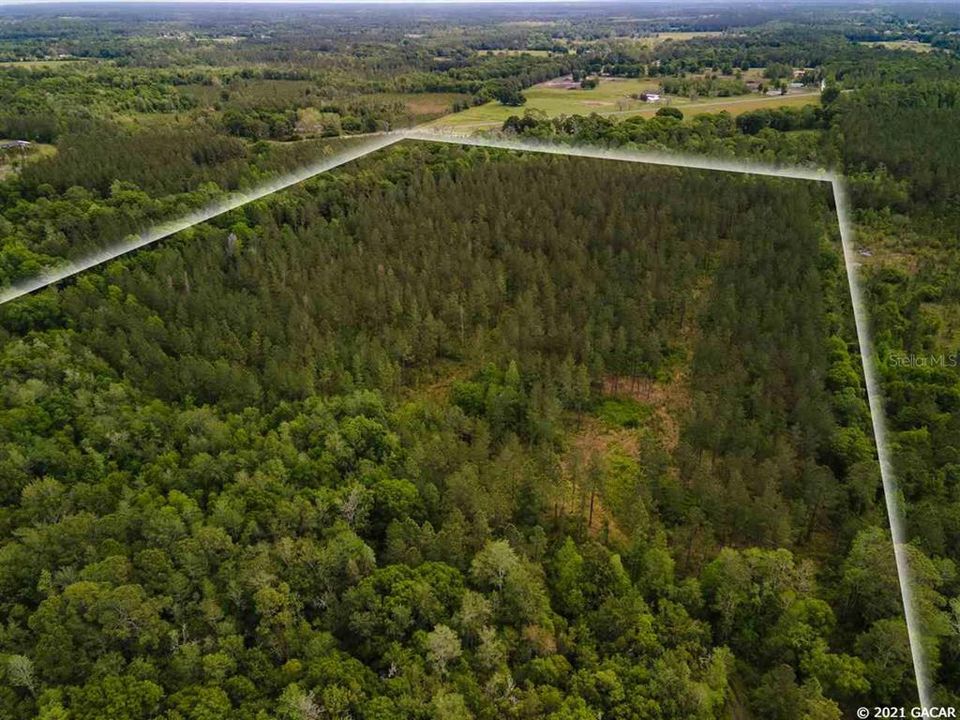 Недавно продано: $262,200 (76.14 acres)