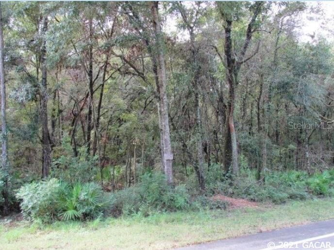 Recently Sold: $12,000 (0.48 acres)