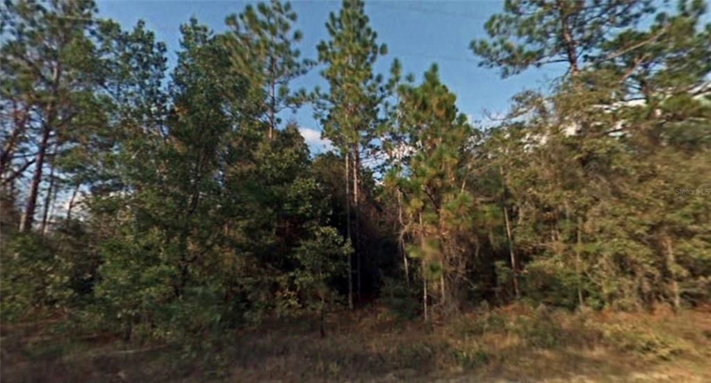 Recently Sold: $37,500 (2.41 acres)