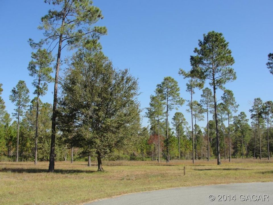 Recently Sold: $26,900 (1.40 acres)