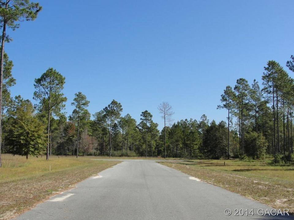 Recently Sold: $22,000 (1.00 acres)