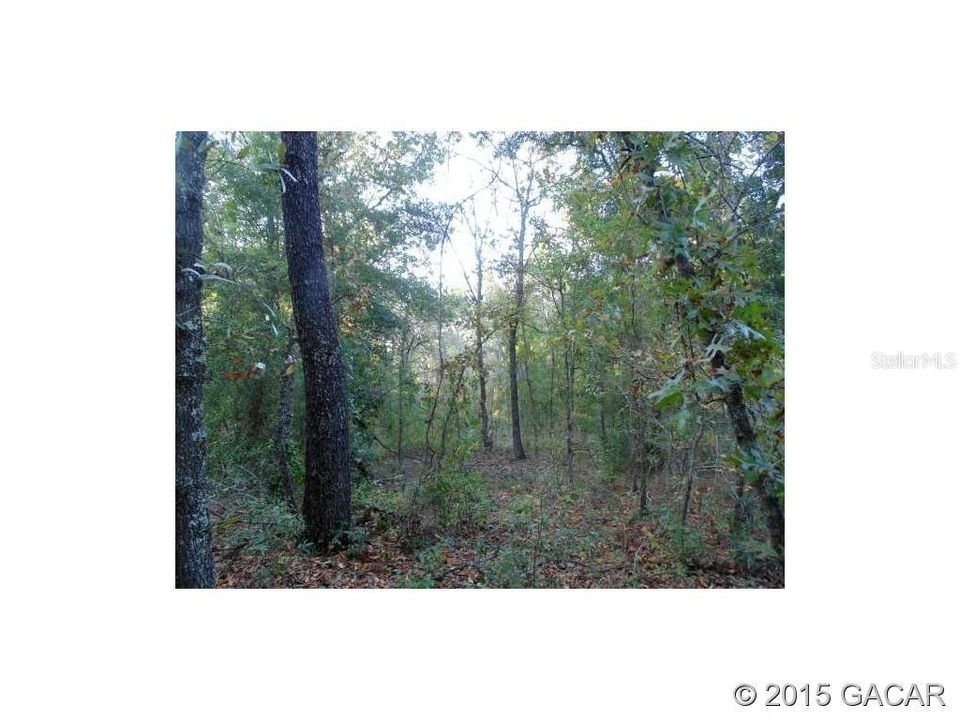 Active With Contract: $16,000 (0.34 acres)