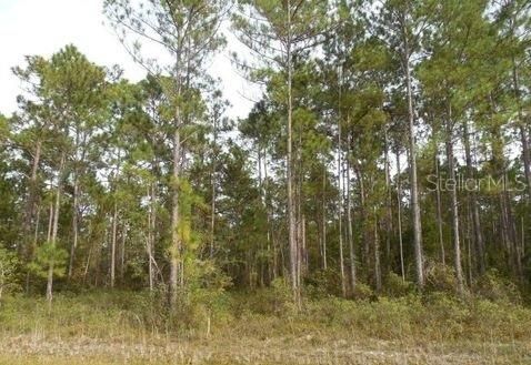 Recently Sold: $71,280 (13.20 acres)