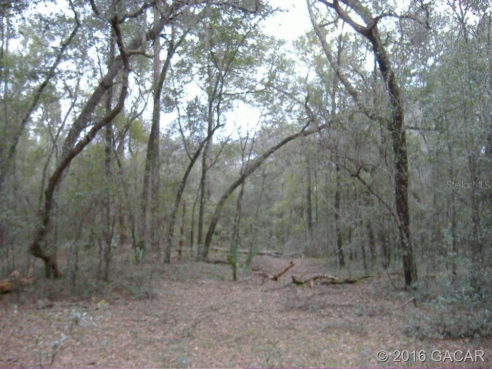 Recently Sold: $37,000 (3.27 acres)