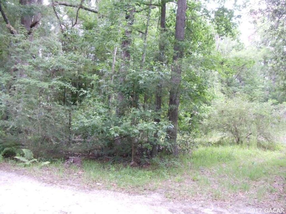 Recently Sold: $17,825 (1.37 acres)