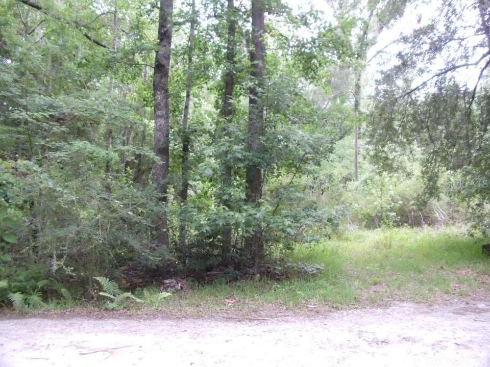 Recently Sold: $17,825 (1.37 acres)