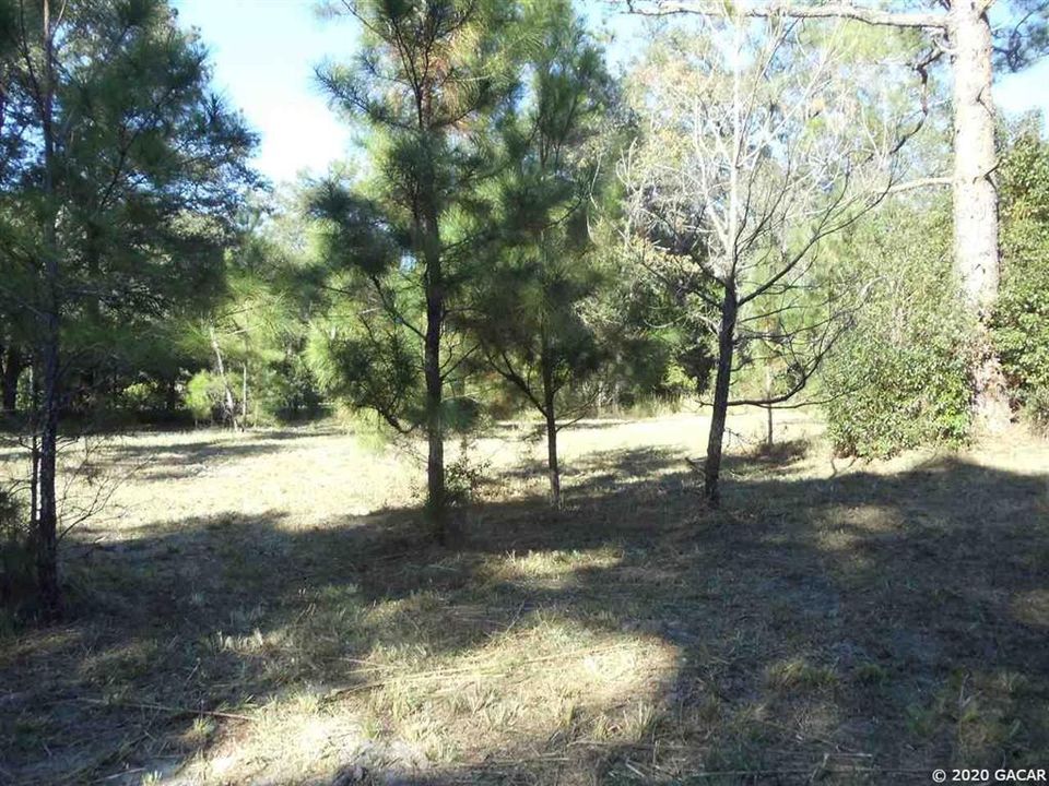 Recently Sold: $38,900 (9.72 acres)