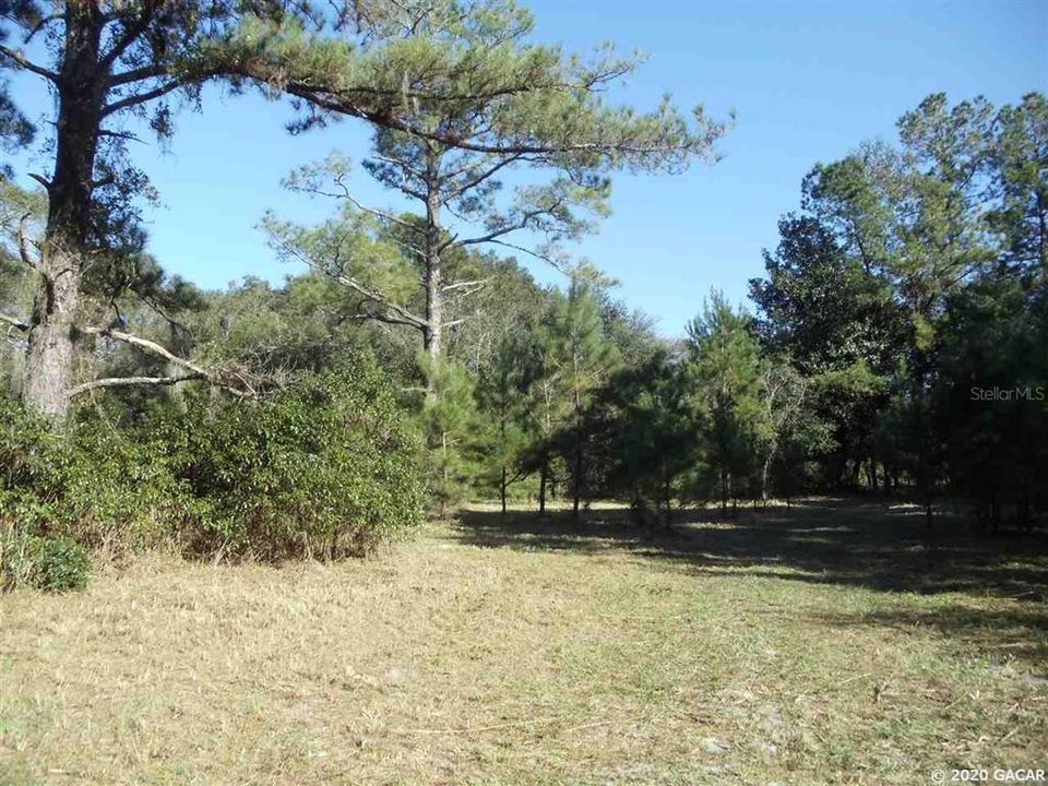 Recently Sold: $38,900 (9.72 acres)